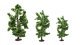 Deciduous Trees, NOCH 24601