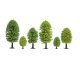 Deciduous Trees, NOCH 26901