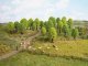 Deciduous Trees, NOCH 32801