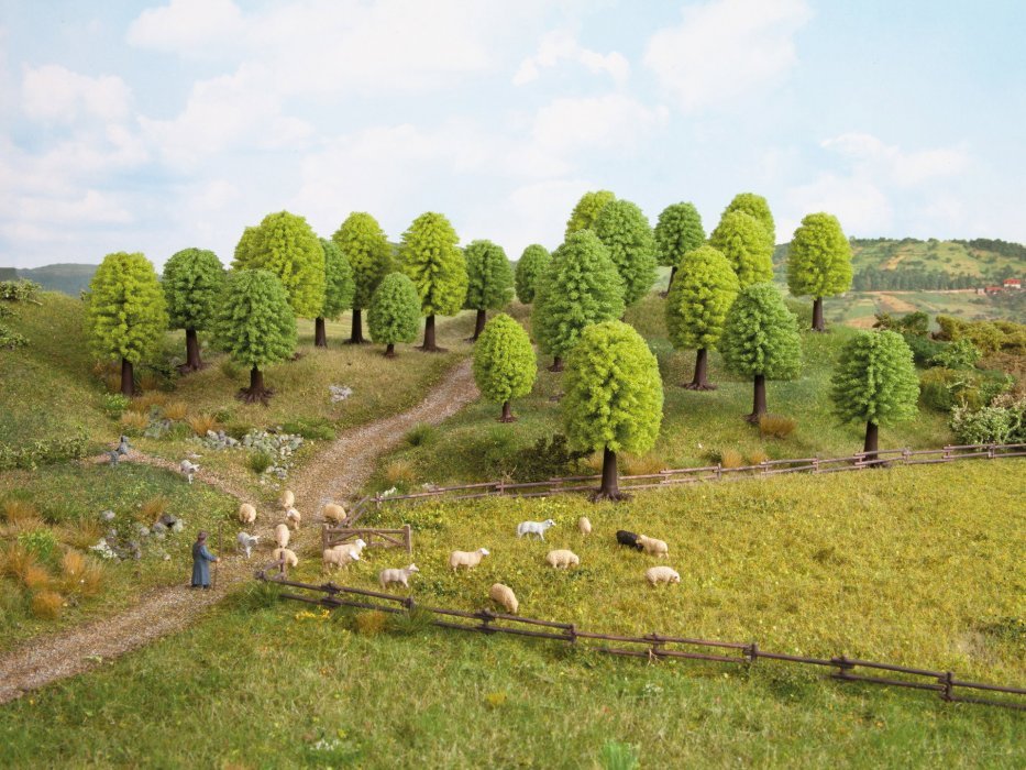 Deciduous Trees, NOCH 32801