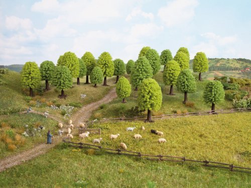 Deciduous Trees, NOCH 32901
