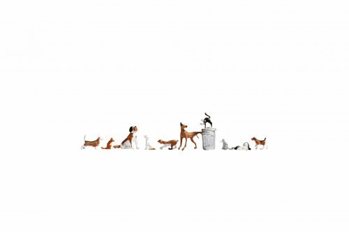 Dogs and Cats, NOCH 45715