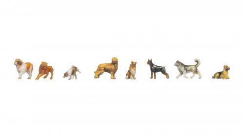 New Dogs, NOCH 35760