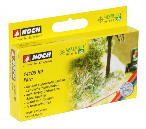 Fern, NOCH 14100