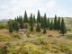 Fir Trees with Planting Pin, NOCH 26930