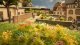 Flowers /250, HO, NOCH 6800