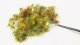 Flowers /250, HO, NOCH 6800