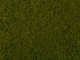 Foliage Sheet -- Light Green 7-7/8 x 9′ 20 x 23cm, All Scales, NOCH 7270