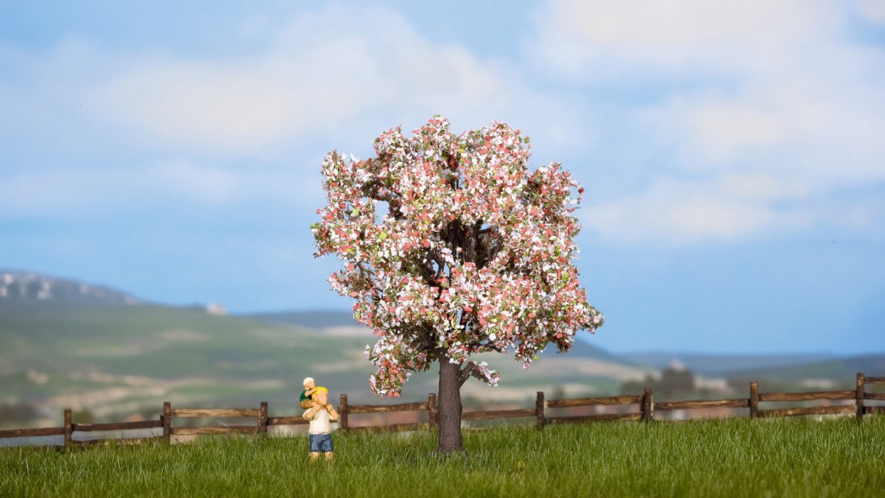 Fruit Tree 3′-Blooming, All Scales, NOCH 21570