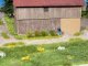 Grass Tufts -- Flowering Plants - Yellow, Red, White 1/4′ 6mm Fibers pkg(104), All Scales, NOCH 7135