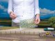 Grass Tufts -- Flowering Plants - Yellow, Red, White 1/4′ 6mm Fibers pkg(104), All Scales, NOCH 7135