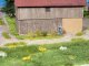 Grass Tufts -- Field Plants 52 1/4` 6mm and 52 3/8` 9mm Fiber Tufts, All Scales, NOCH 7013