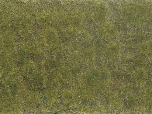Ground cover Foliage, green/brown, NOCH 07254