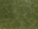 Ground Cover Foliage Pad -- Dark Green 4-3/4 x 7-1/16′ 12 x 18cm, All Scales, NOCH 7252