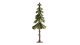 High Trunk Spruce Tree, NOCH 21924