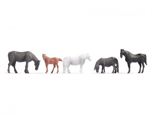 Horses, NOCH 18215