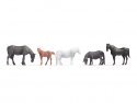 Horses, NOCH 18215