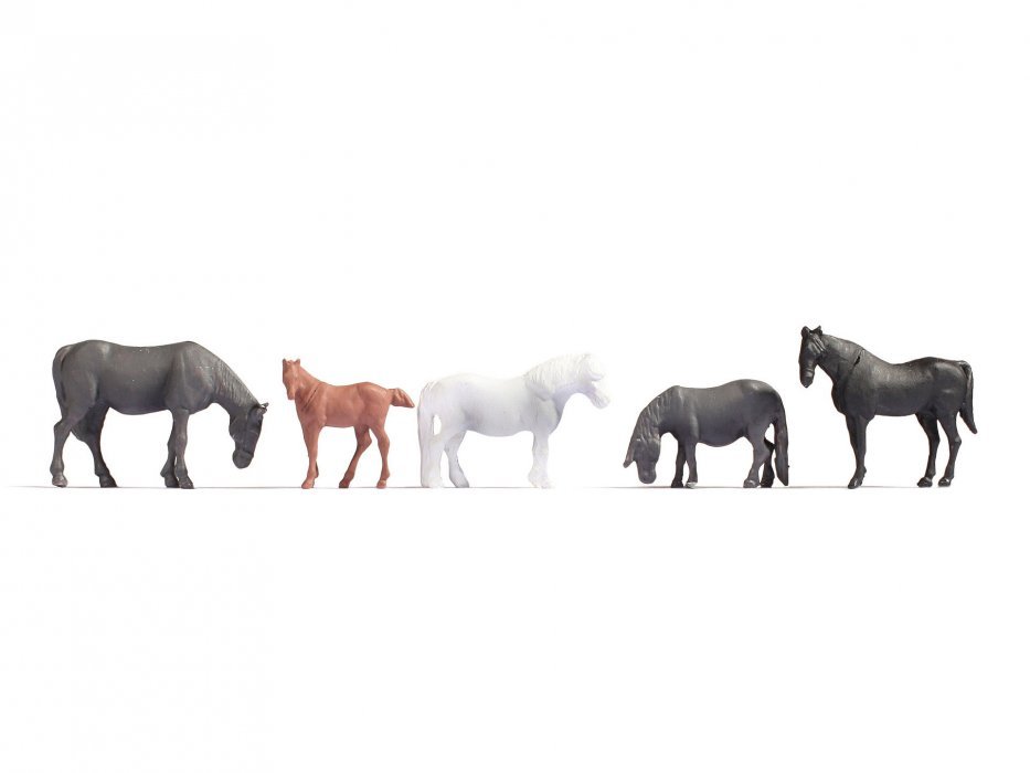 Horses, NOCH 18215