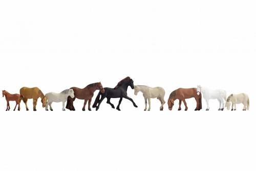 Horses, NOCH 36761