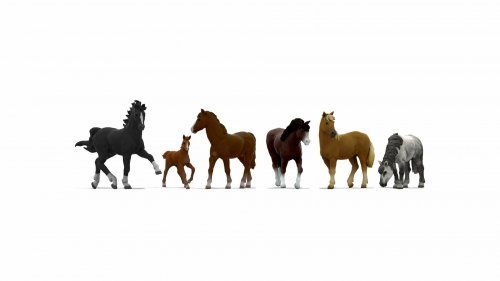 Horses, NOCH 44542