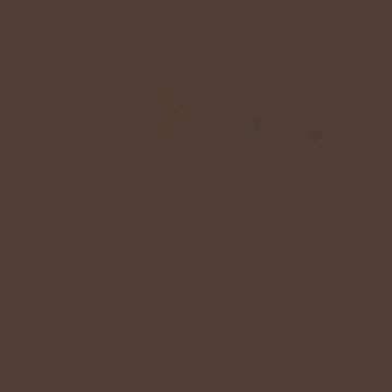 Sprayable Matte Paints - 1oz 29.6mL -- Light Brown Tree Bark, All Scales, Tru-Color Paint 437
