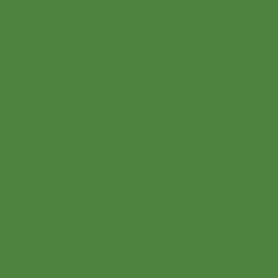 Railroad Color Acrylic Paints - 1oz 29.6mL -- Illinois Terminal Light Green, All Scales, Tru-Color Paint 303