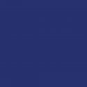 Metallic Acrylic Paints - 1oz 29.6mL -- Dark Cloisonné Poly, All Scales, Tru-Color Paint 765