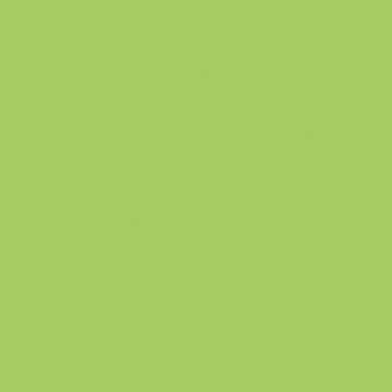 Sprayable Matte Paints - 1oz 29.6mL -- Roof Lime Green, All Scales, Tru-Color Paint 445