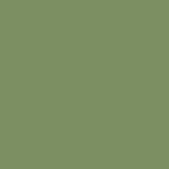 Water-Based Acrylic Paint 1oz 29.6ml -- MMP-079 RAF Interior Green, All Scales, Mission Models 79