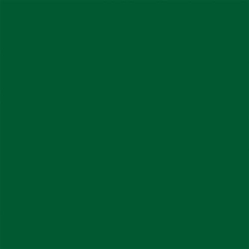 Paint PLA Enamel Military Flat Colors - 1/4oz 7.4mL Bottle -- Beret Green, All Scales, Testor Corp 1171