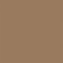All-Purpose Enamel Paint - 1/4oz 7.4mL Bottle -- Wood, All Scales, Testor Corp 1141