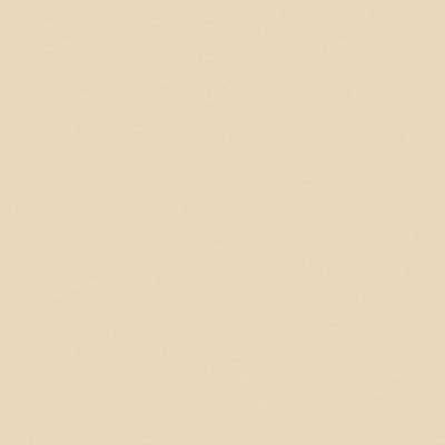 Railroad Color Acrylic Paints - 2oz 59.1mL -- Atlantic Coast Line Hopper Beige, All Scales, Tru-Color Paint 2277