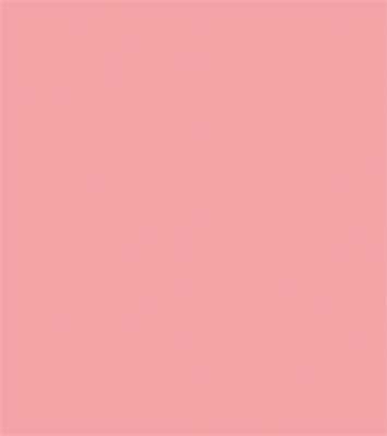 Sprayable Matte Paints - 1oz 29.6mL -- Exterior Wall - Salmon Pink, All Scales, Tru-Color Paint 455