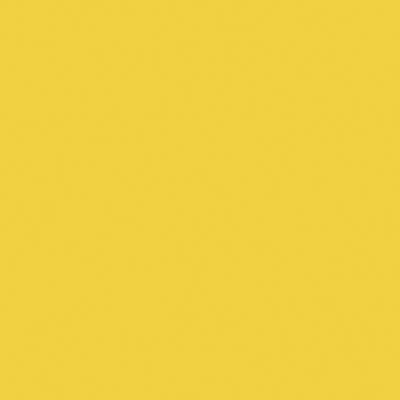 Railroad Color Acrylic Paints - 2oz 59.1mL -- Florida East Coast Modern Yellow, All Scales, Tru-Color Paint 2321