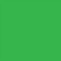 All-Purpose Enamel Paint - 1/4oz 7.4mL Bottle -- Green, All Scales, Testor Corp 1124