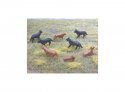 Dogs -- pkg(8), HO, Peco 5102