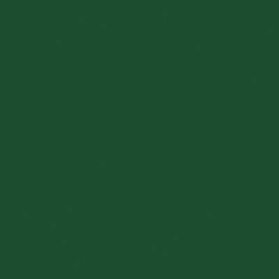 Railroad Color Acrylic Paints - 2oz 59.1mL -- Railway Express Agency Green, All Scales, Tru-Color Paint 2078