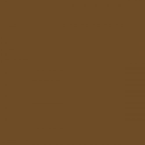 Railroad Color Acrylic Paints - 2oz 59.1mL -- Seasoned Brown Wood, All Scales, Tru-Color Paint 2349