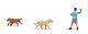 Playing Fetch with Dogs - Action Set -- 2 Dogs, 1 Throwing Figure, HO, Busch Gmbh & Co Kg 7896