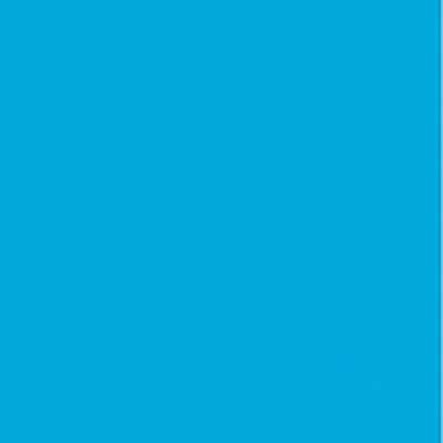 Water-Based Acrylic Paint 1oz 29.6ml -- MMP-173 Light Blue, All Scales, Mission Models 173