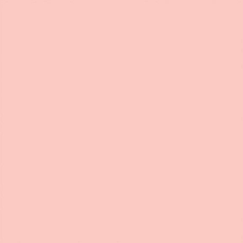 Sprayable Matte Paints - 1oz 29.6mL -- Rose Stucco, All Scales, Tru-Color Paint 423