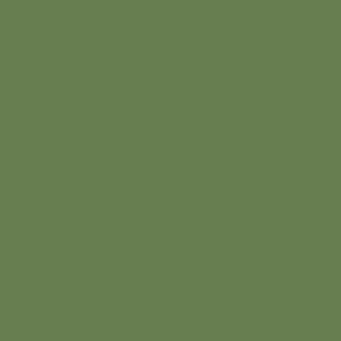 Water-Based Acrylic Paint 1oz 29.6ml -- MMP-059 US Interior Green FS 34151, All Scales, Mission Models 59