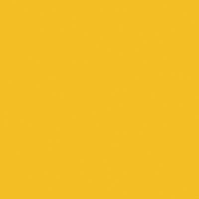 Railroad Color Acrylic Paints - 2oz 59.1mL -- Chessie System Yellow, All Scales, Tru-Color Paint 2305