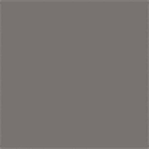 All-Purpose Enamel Paint - 1/4oz 7.4mL Bottle -- Metallic Silver, All Scales, Testor Corp 1146