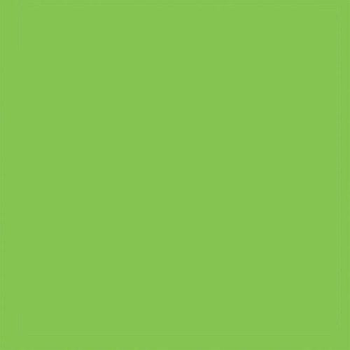All-Purpose Enamel Paint - 1/4oz 7.4mL Bottle -- Sublime Green, All Scales, Testor Corp 1125
