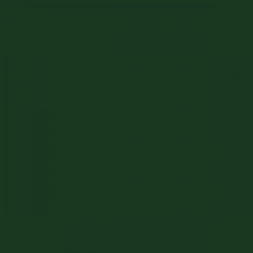 Railroad Color Acrylic Paints - 2oz 59.1mL -- Seaboard Air Line Dark Green, All Scales, Tru-Color Paint 2338