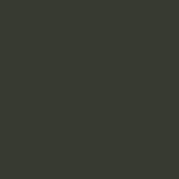 Military Acrylic Color - 1oz 29.6ml -- FS-36231: F-16 `Have Glass` Dark Gray, All Scales, Tru-Color Paint 1206