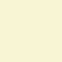 Railroad Color Acrylic Paints - 2oz 59.1mL -- CSX Transportation Beige/Cream, All Scales, Tru-Color Paint 2332