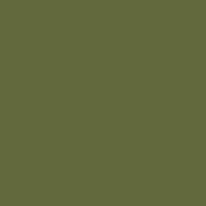 Water-Based Acrylic Paint 1oz 29.6ml -- MMP-120 Olivegrun Olive Green RLM 80, All Scales, Mission Models 120