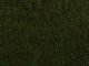 Foliage, All Scales, NOCH 07272